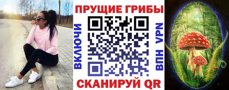 как найти   Казань  Псилоцибиновые грибы мицелий 